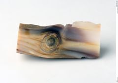 Foto von Holzopal (NHMW-MIN-Ag843)